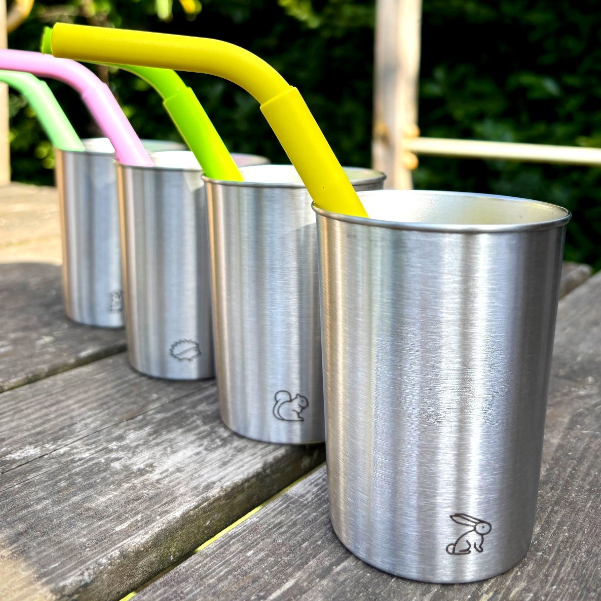 Reusable Straws Set (x6)